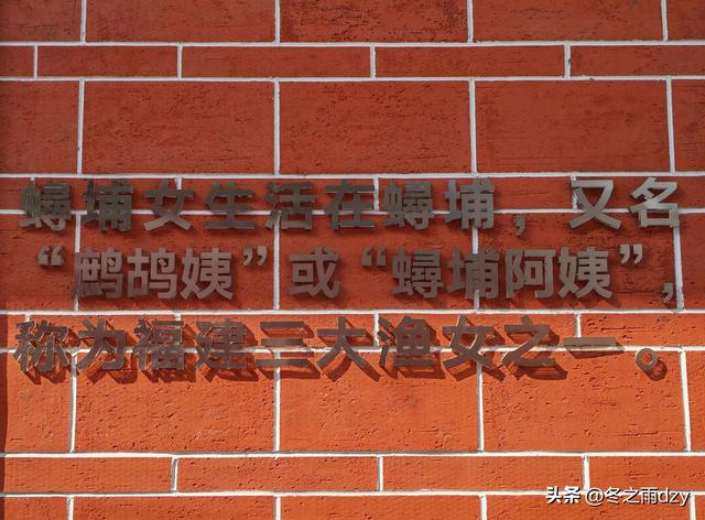 悠游泉州⑧:蟳埔民俗文化村、蟳埔码头（2025.2.8）