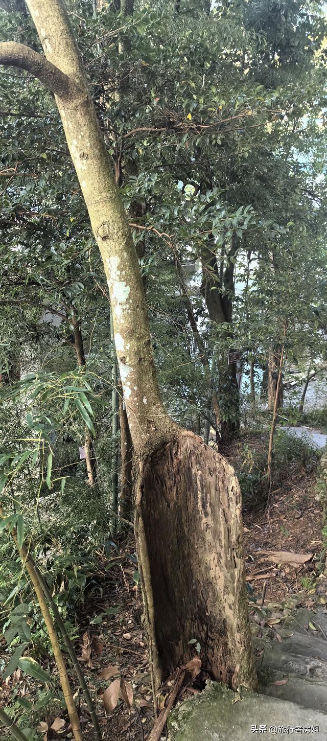 一条古道从浙江到安徽，全程经过三个古村落