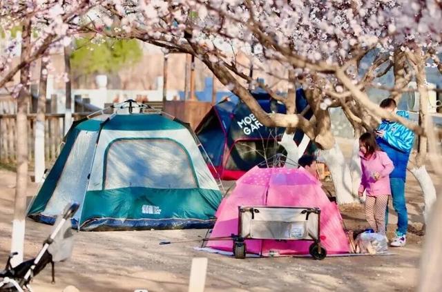 春日漫游正当时！清明假期，105万人次游客打卡丰台