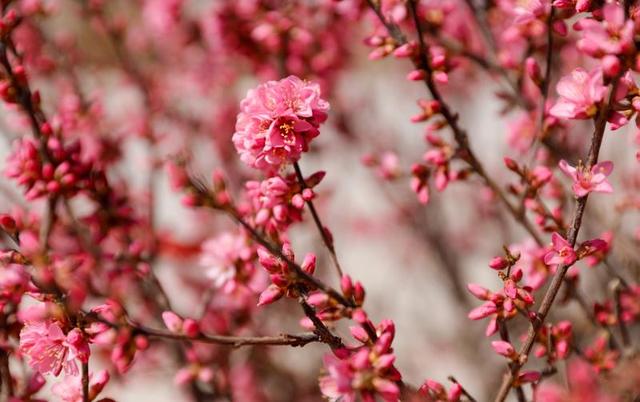春赴古浪｜缅怀革命先烈，共赴春和景明