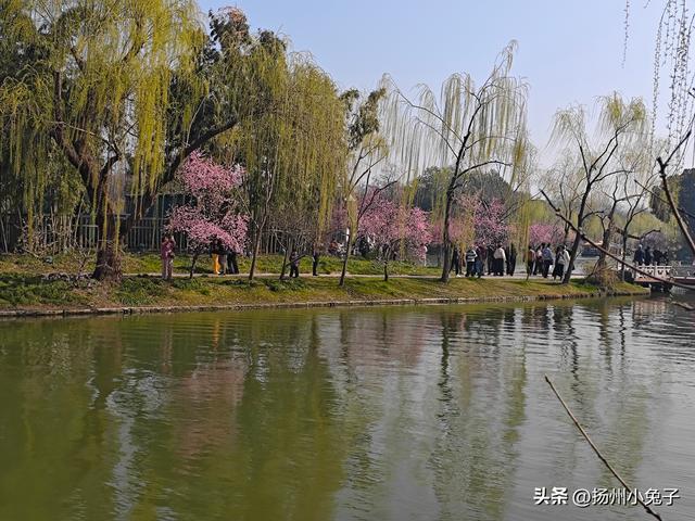 犹如走进仙境，这才是扬州！