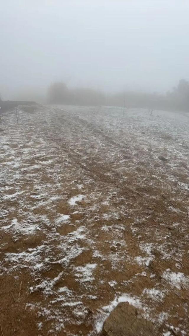 下雪了！下雪了！浙江的第一场雪来了！