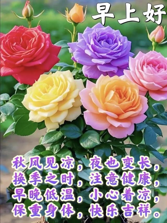 当你笑着去努力的时候，全世界都会给你让步