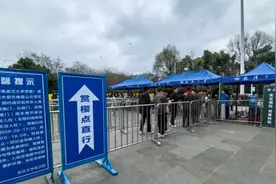 今年来武大赏樱，看这一条就够了图片