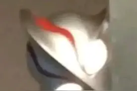 沙雕表情包‖站起来，我坐会图片