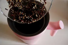 年龄大了要养骨，别只吃牛奶鸡蛋，建议常吃4样，腿脚有劲身体好图片