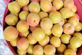 德邦快递打通田间路，“杏”福从新疆飞向全国图片