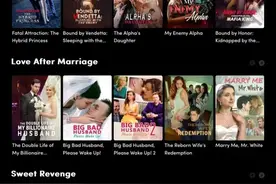 土味爽文火出国，“霸总”“赘婿”哪家强？揭秘短剧出海背后图片