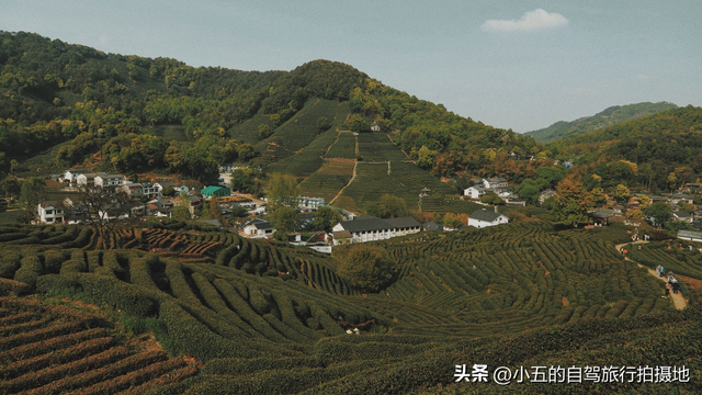 杭州Citywalk超全攻略：5条主题路线带你玩转杭城