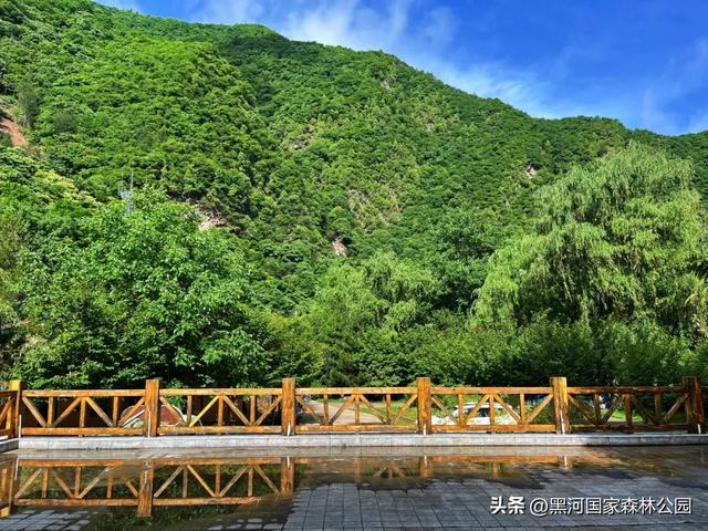 西安人少景美的秋日秘境，这才是秋天该去的地方！