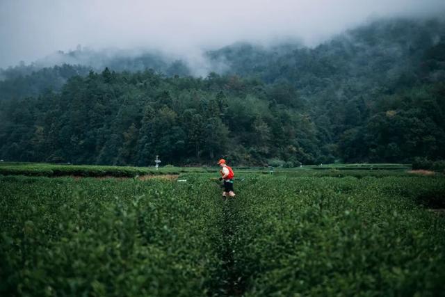 一叶见青山 万人证雅集 | 第十届大武夷超级山径赛圆满完赛
