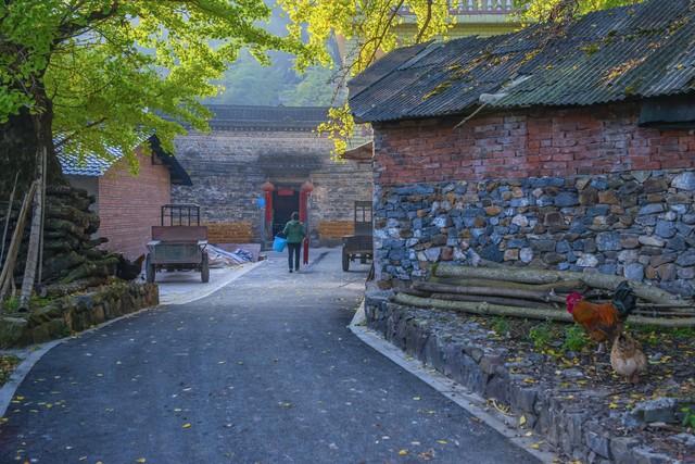 广西秋熟透了！红枫燃林、银杏铺古村，3条路线承包全国颜值巅峰