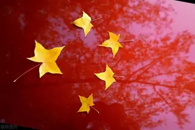 生在红旗下，长在春风里，脊梁里的中国颜色图片