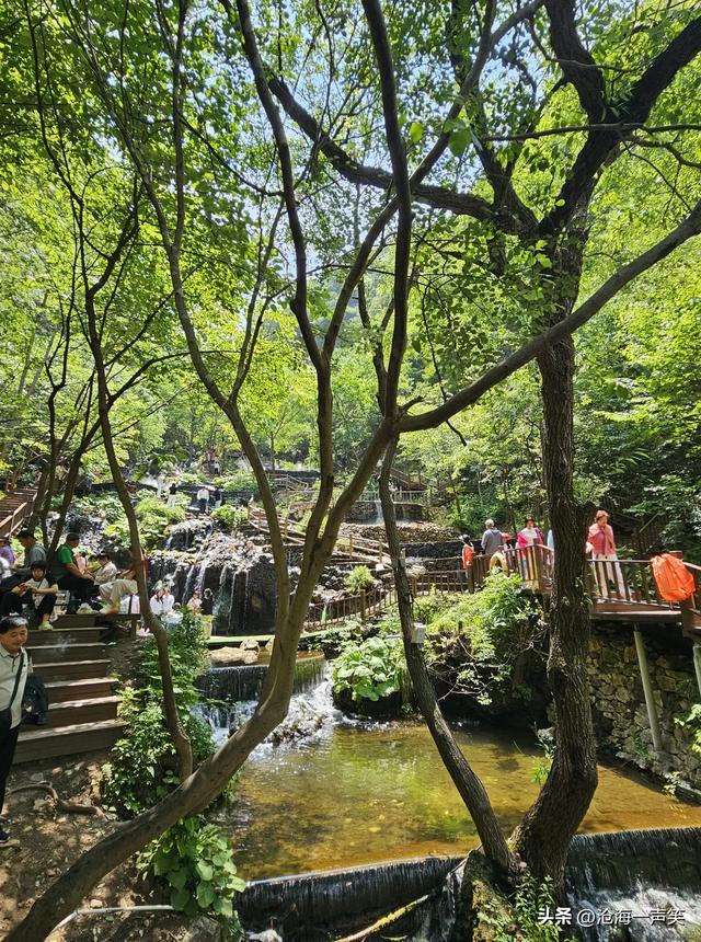 请河南的朋友猜一猜这是哪里的4A级景区，避暑胜地，森林密布