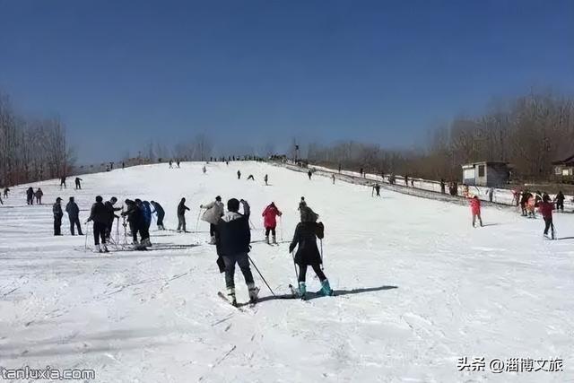 淄博冰雪宝典，请请收好
