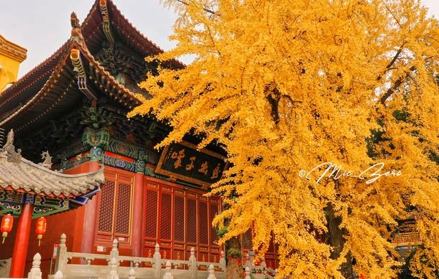 湖北小众秋色段位榜：这6条宝藏路线，让你独占整个秋天！