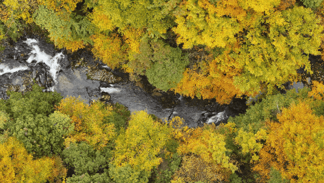 广元旺苍，倒也不必美得如此满分！！！