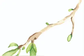 太原市外国语学校摄乐校区高中扩招100人图片