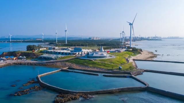 威海的流量密码被这家全新开业的国际品牌酒店拿捏住了！