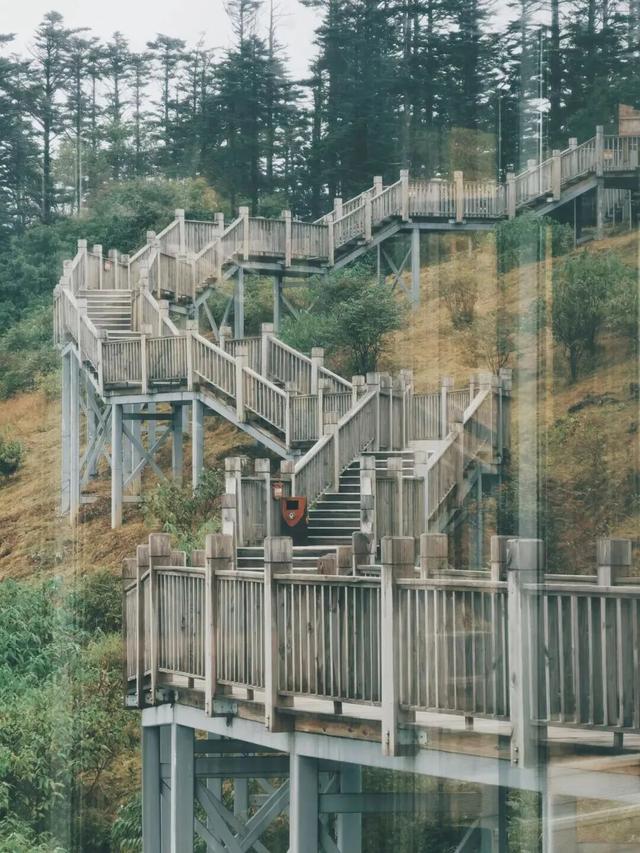 划得来！秋天来西岭雪山看彩林，门票直接免了！