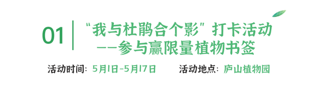 来庐山，逛春山 | 五月精彩不停歇！这份庐山超全文旅活动攻略请收好~