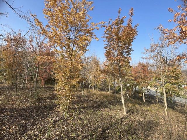 骑游仪征龙山森林公园、六合长江渔村