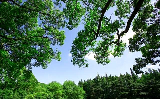 两性关系：你懂什么叫“人过五十五，雌雄不再殊”吗？不妨来看看