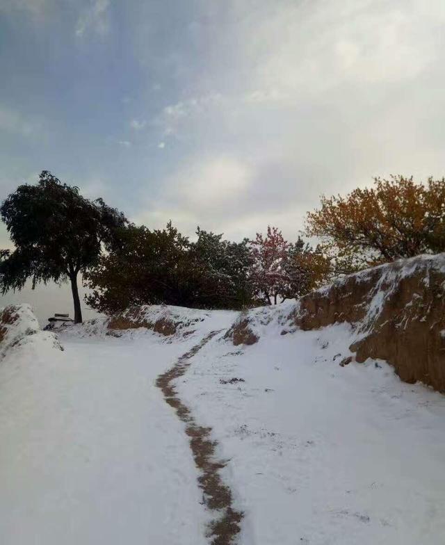 “上午立冬大雪封门，下午立冬单衣过冬”，今年立冬上午还是下午