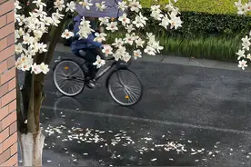 抖音很火的句子|春天没有方向，春天只顾开花图片