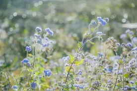 古人八首怪异诗，令人拍案叫绝图片