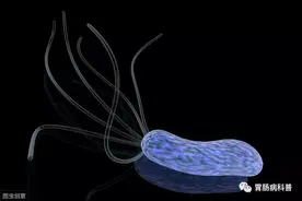 检测幽门螺杆菌有4种方法，哪种最准确？图片