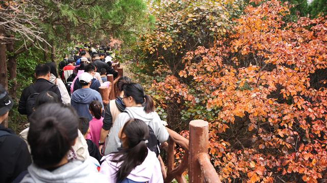 最新实拍！潍坊这里迎来“全红时刻”！