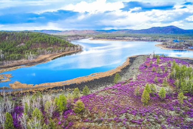还没结束的花事，槽点太多了！