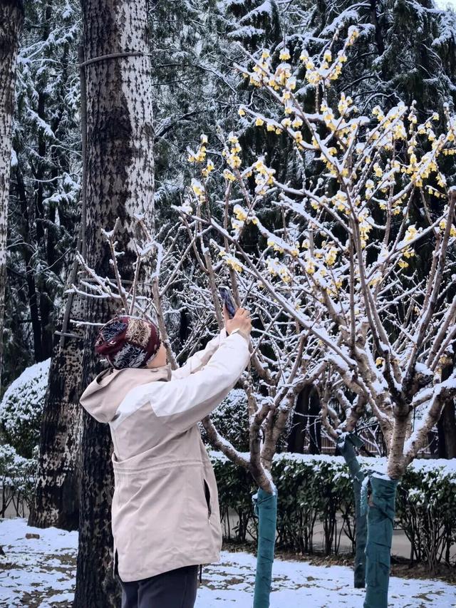 看！这是昌平雪后的美景——