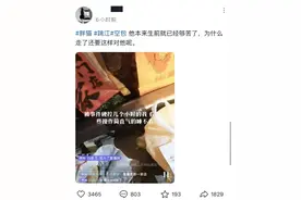 胖猫跳河事件后续：生前被当提款机，离世后商家行为引深思图片