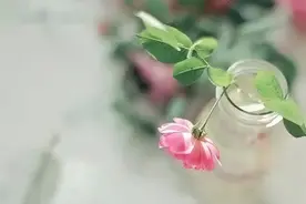 人过五十，不管你多有本事，都不要得罪以下几个人，避免晚景凄凉图片