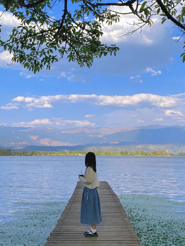 比大理浪漫！比昆明更近！高铁直达阳光小城，2万株蓝花楹美疯！观海登山，美食吃到爽！