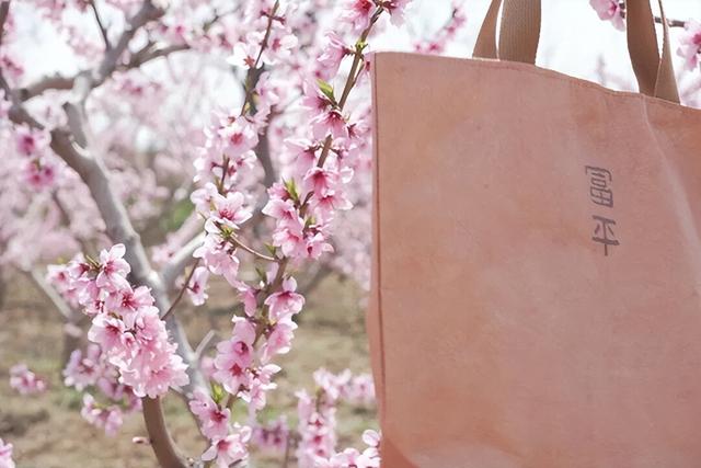 2026年4月第一周 渭南文化旅游资讯微报（组图）