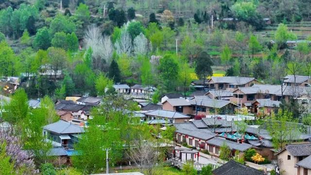 春满田河，古韵新生