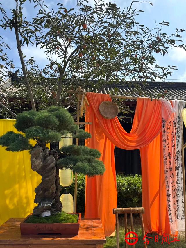 国庆中秋畅游商丘古城：从早到晚轻松玩转！