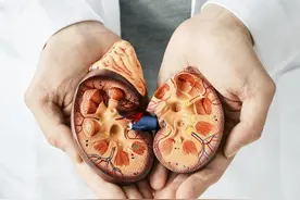 肾精不够，人容易老？一个方子，帮你补肾、强身、延缓衰老图片