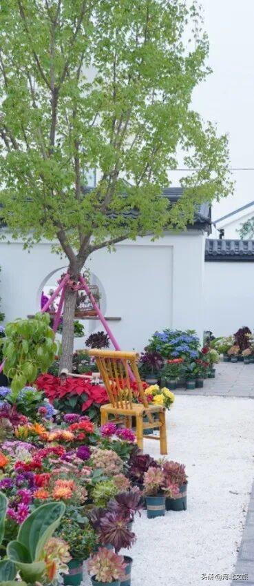 唐山遵化山里各庄 | DeepSeek也太懂山里各庄了！