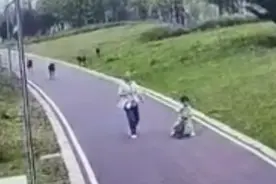 母女公园遭4条恶犬撕咬后续：伤势严重，狗主人拒出全部治疗费图片