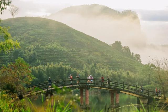 一叶见青山 万人证雅集 | 第十届大武夷超级山径赛圆满完赛