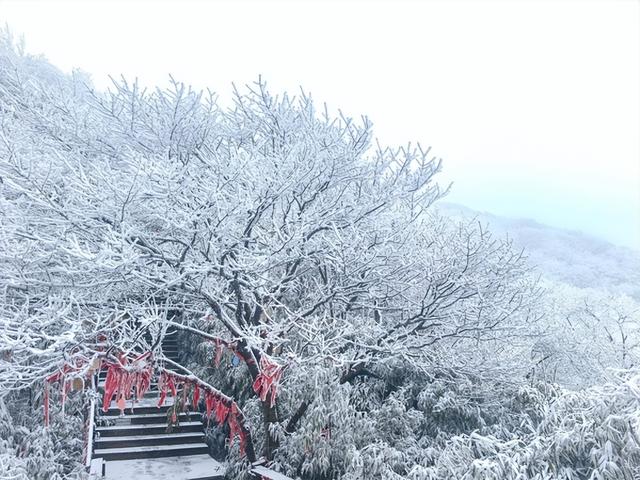 金佛山喜降瑞雪，南国雪原迎绝美盛景！