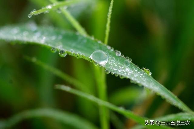 “上午寒露雪堵门，下午寒露穿单衣”，今年寒露在几点？答案来了