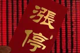 百亿游资私募必看的六大网址！图片