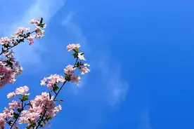 男人婚外有了别的女人，妻子如此处理，才是上策图片