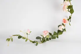 人一旦有这些特征，说明你气场非常强大！图片