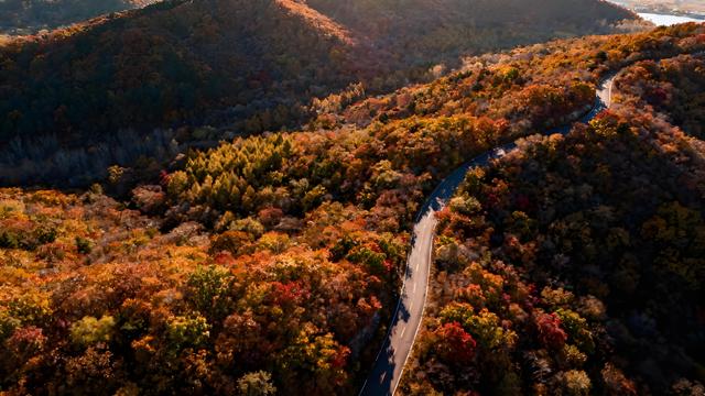 打卡金秋中国！盛京秋赋：枫红与故都的交响诗行